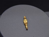 d 007 museo civico