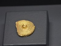 d 011 museo civico
