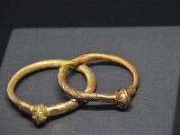 d 013 museo civico