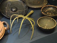 d 047 museo civico