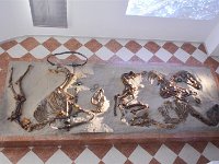 d 049 museo civico