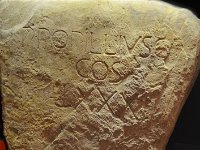 d 055 museo civico