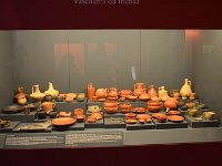 d 063 museo civico