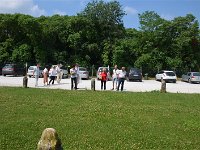 DSC 0982