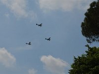 DSC 1019